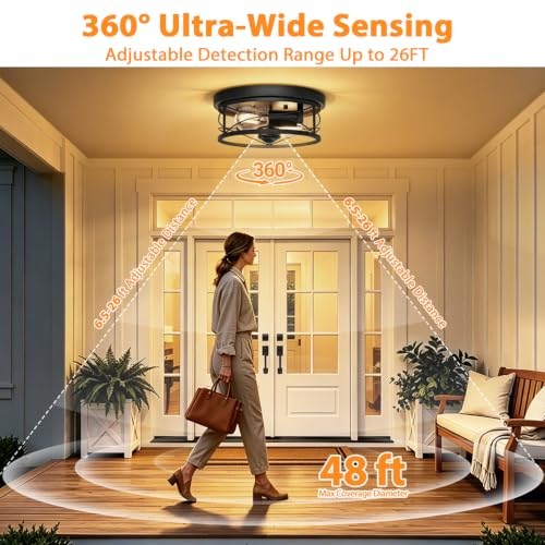 Dusk to Dawn Flush Mount Ceiling Light Fixtures