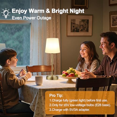Cordless Table Lamps Set of 2