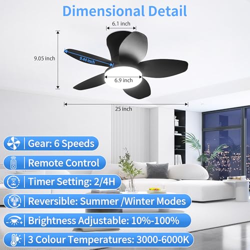 25 Inch Small Ceiling Fans with Lights (Black)