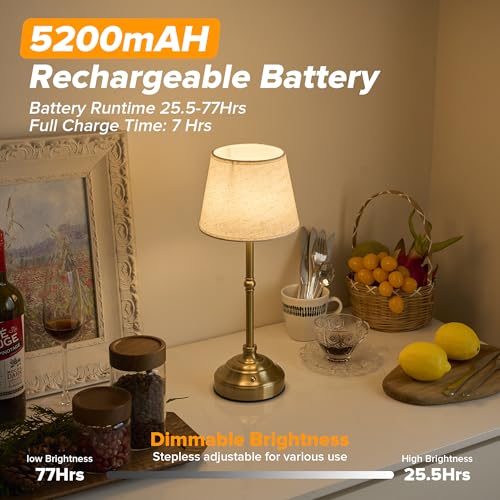 2 Pack Cordless Table Lamp (2 Count)