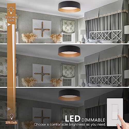 Flush Mount Ceiling Light 2 (2 Count)