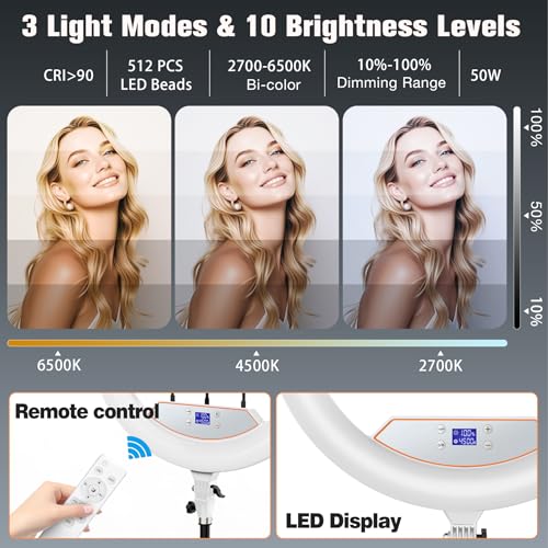 Large 22" Ring Light with Stand