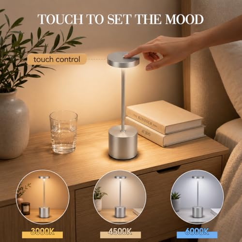Silver Rechargeable Table Lamps 2 Pack (2 Count)