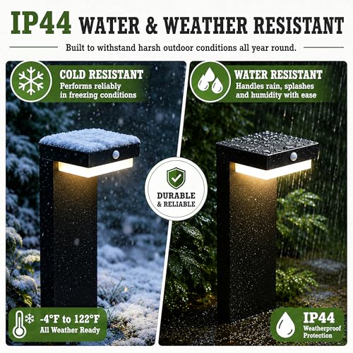 Premium Solar Pathway Lights Outdoor (2 Count)