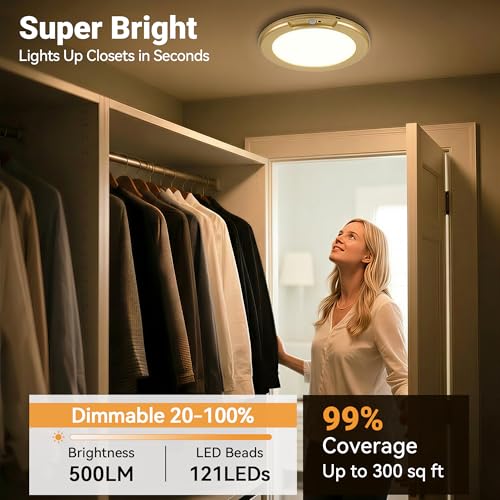 Gold Wireless Rechargeable Ceiling Light