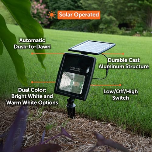 Dual Color Solar Flood Light