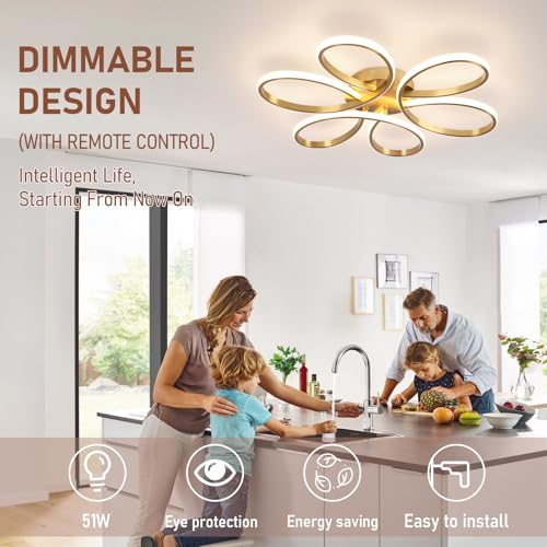 26inch Modern LED Ceiling Light