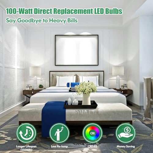 24 Pack LED Light Bulbs 100 Watt Equivalent A19 Daylight White 5000K (24 Count)