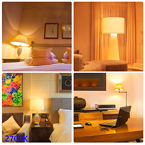 ENERGETIC SMARTER LIGHTING A21 LED Bulbs 150 Watt Equivalent LED Light Bulb (2 Count)