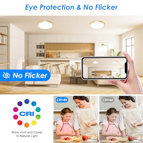 12 Inch LED Ceiling Light Gold