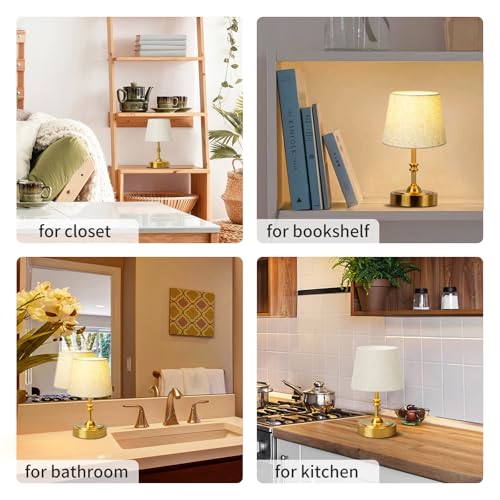 Small Cordless Lamp