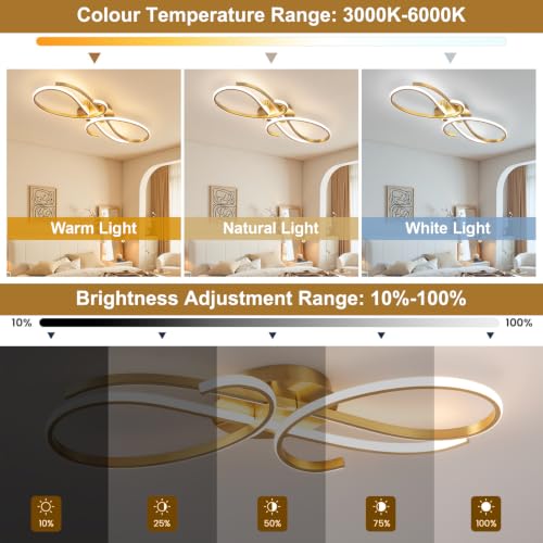 43W Modern Ceiling Light Fixture