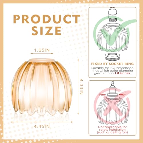 4 Pcs Glass Tulip Lamp Shade (4 Count)