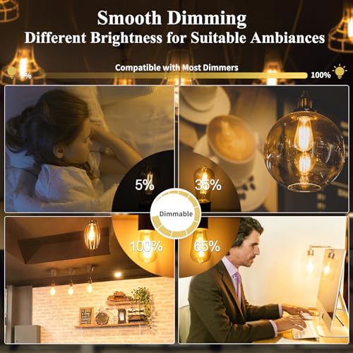 Dimmable Edison Bulbs 100W Equivalent (6 Count)