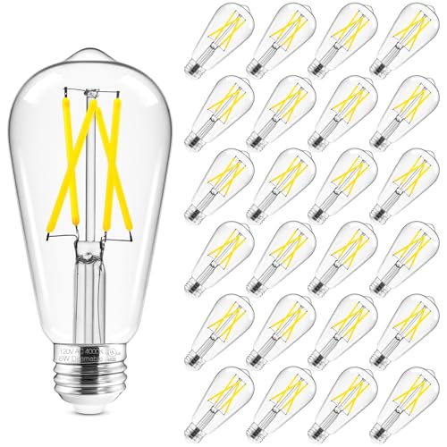 Edison Bulbs Dimmable (24 Count)
