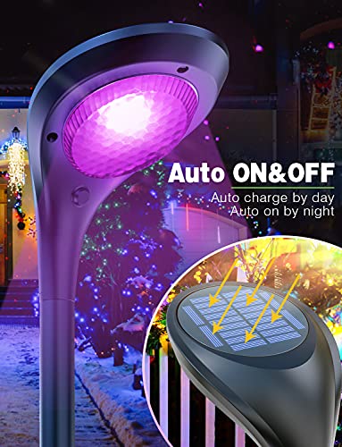 Color Solar Pathway Lights (4 Count)