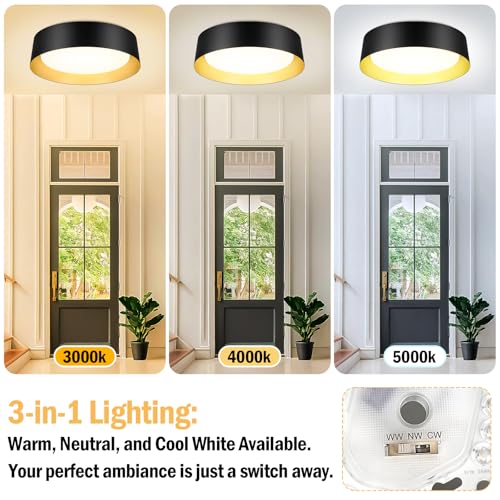 Flush Mount Ceiling Light