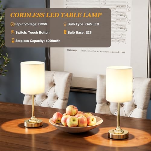 Rechargeable Table Lamp