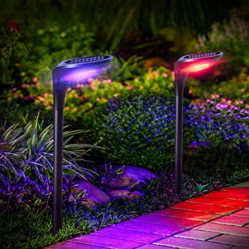 Color Solar Pathway Lights (4 Count)