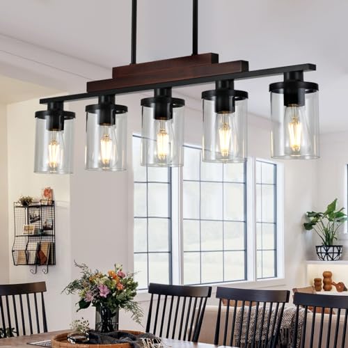 Dining Room Light Fixture