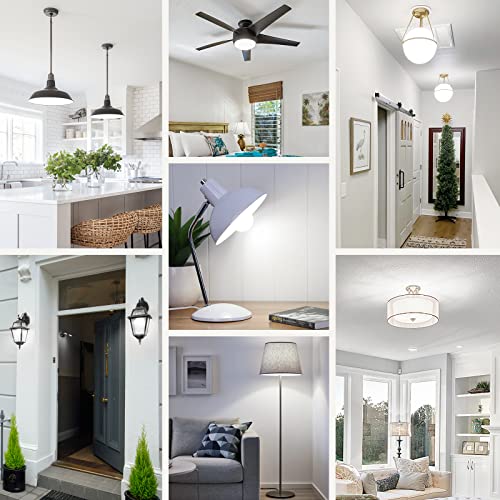 A19 LED Light Bulbs (10 Count)