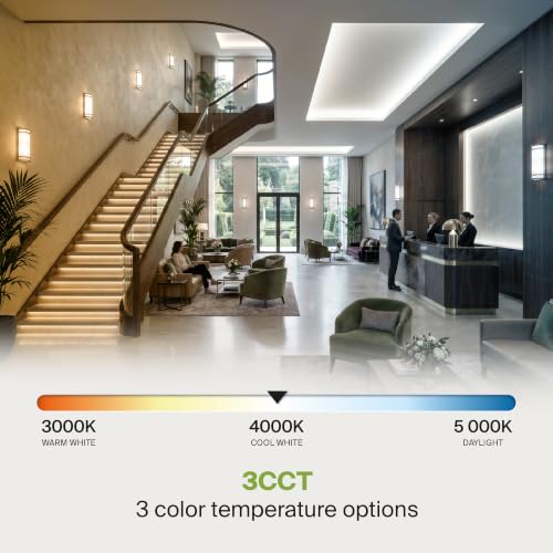 Indoor LED Wall Sconce Lights (2 Count)