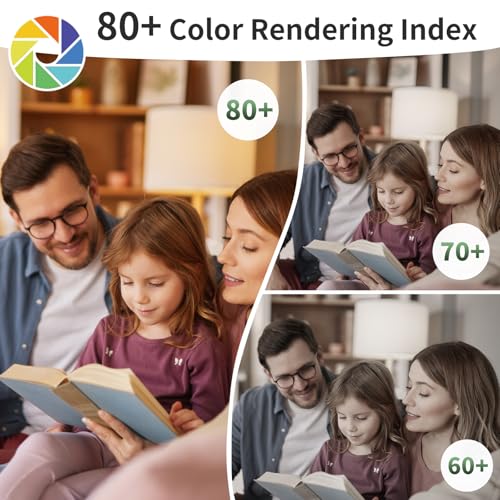 A19 LED Light Bulbs (4 Count)