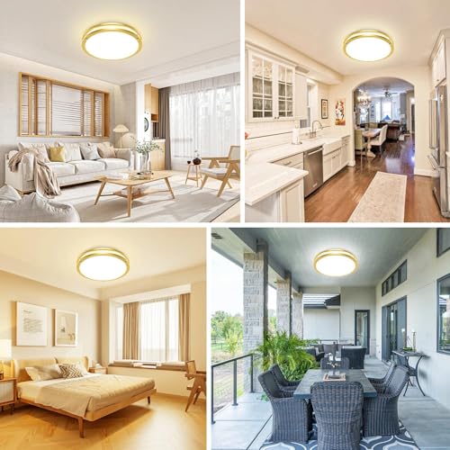 10Inch Flush Mount Ceiling Lights (2 Count)