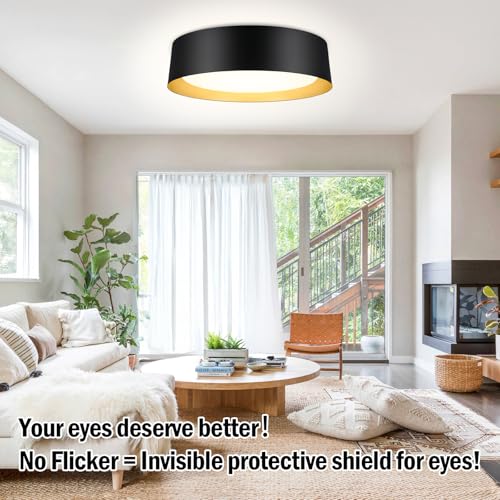Flush Mount Ceiling Light