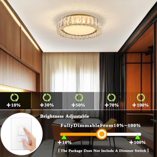 Dimmable Crystal Flush Mount Ceiling Light