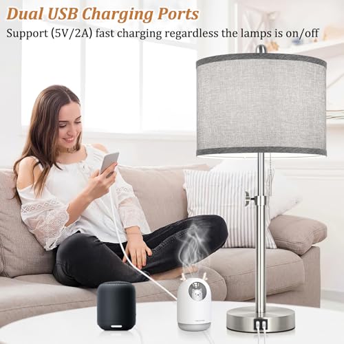 Silver Table Lamps Set of 2 for Living Room Bedroom (2 Count)