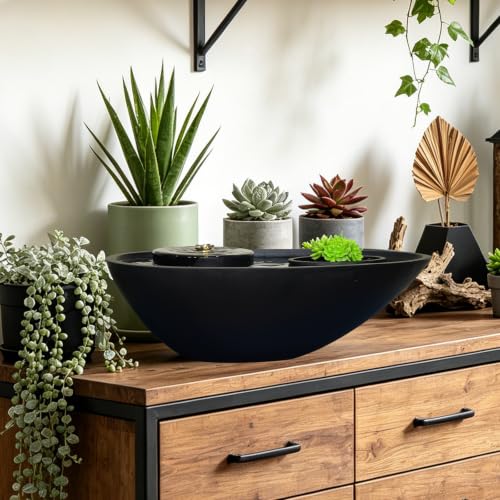 Table Fountain Indoor Water Zen Garden Decor with Succulent Plant