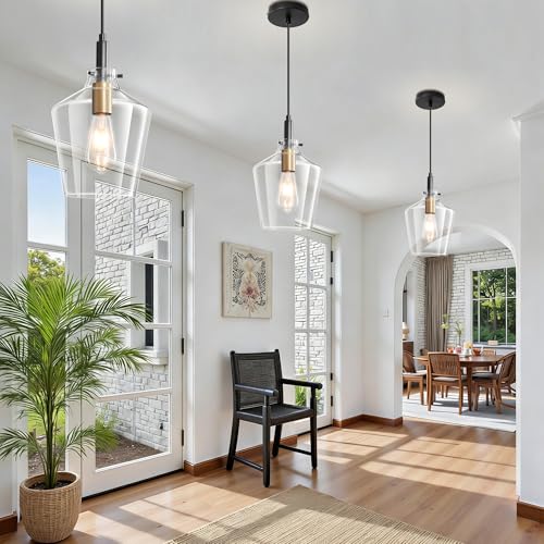 Glass Pendant Lighting for Kitchen Island 3 Pack Black Gold Clear 8 Inch (3 Count)