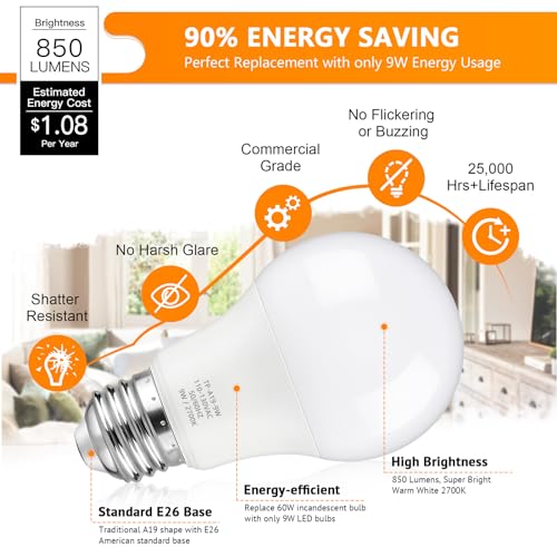 A19 LED Light Bulbs (4 Count)