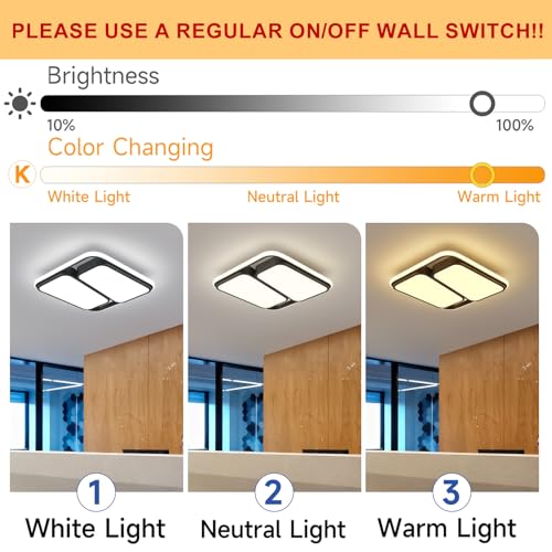 Modern LED Ceiling Light Fixture