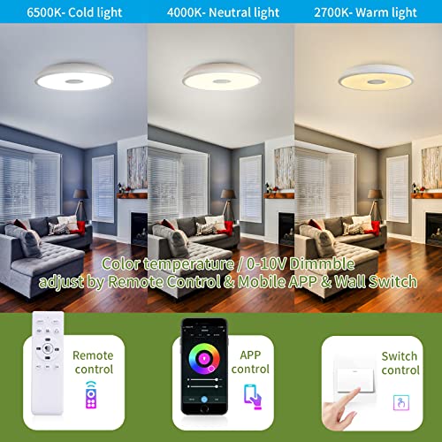 Smart Waterproof LED Flush Mount Ceiling Light Fixture