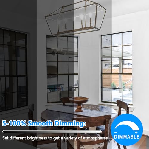 LED Candle Bulbs 40W Equivalent (10 Count)