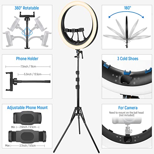 19 inch 2.4G Ring Light with Stand