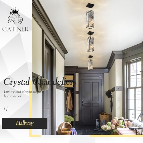 Black Crystal Pendant Light 3 (3 Count)