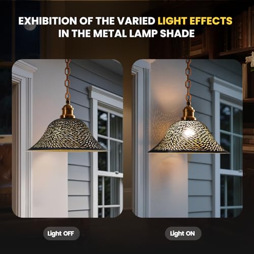 Floor Lamp Shade Replacement for Ceiling Fan Replacement Globes Black Gold