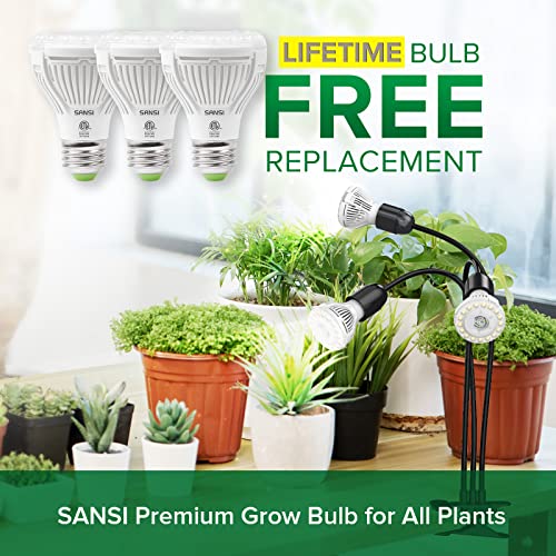 LED Grow Lights for Indoor Plants