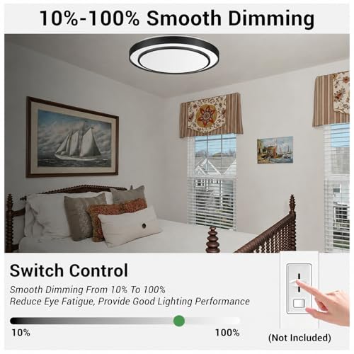 20 Inch LED Flush Mount Ceiling Light (Black / 20Inch)