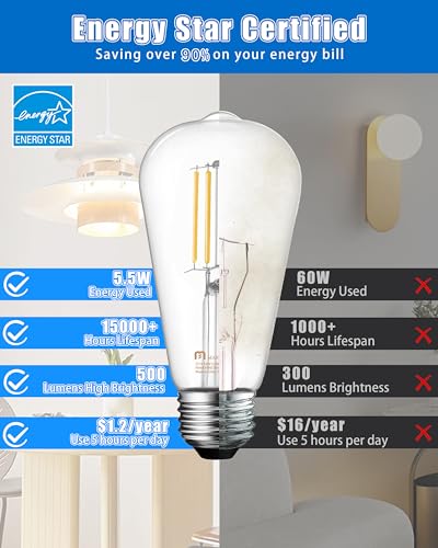 16 Pack Vintage Edison Bulbs (16 Count)
