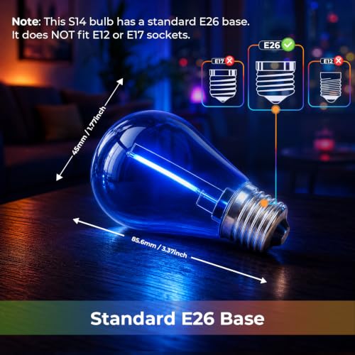 S14 Colored LED Outdoor String Bulbs for Christmas (24 Count)