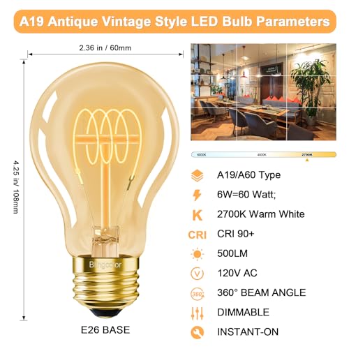 E26 Dimmable A19 Vintage 6W LED Edison Bulbs 2700K Decorative Light Bulbs (4 Count)