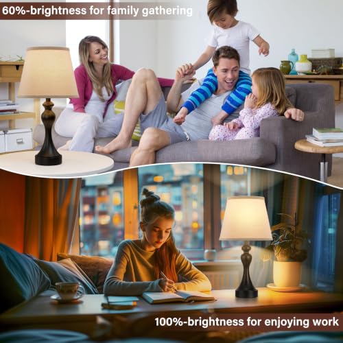 Touch Lamps for Nightstand (2 Count)