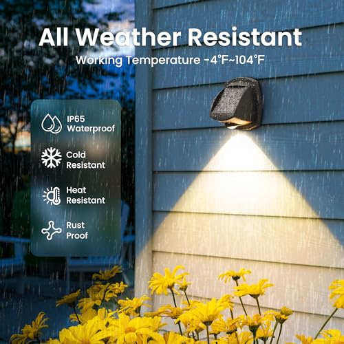 Solar Lights Waterproof IP65 (8 Count)