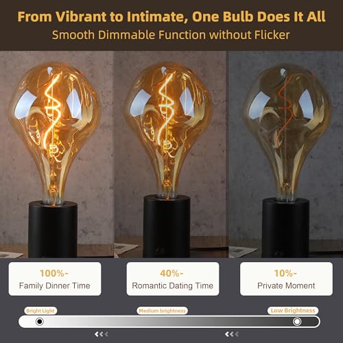 Oversized Vintage Lrregular Giant Edison LED Bulb