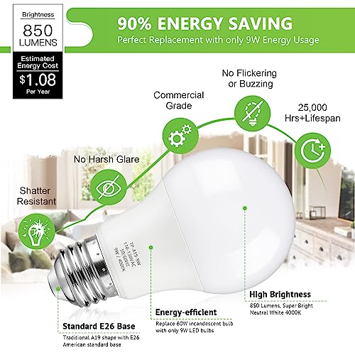 A19 LED Light Bulbs (4 Count)