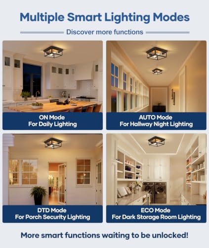 Motion Sensor Outdoor Ceiling Light with Remote